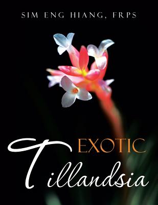 Exotic Tillandsia - Eng Hiang Frps Sim