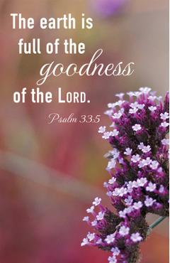 Poza produsului General Worship Bulletin: Earth Is Full (Package of 100): Psalm 33:5 (Kjv) - Broadman Church Supplies Staff
