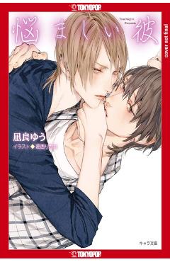 My Beautiful Man, Volume 3 (Light Novel): Volume 3 - Yuu Nagira