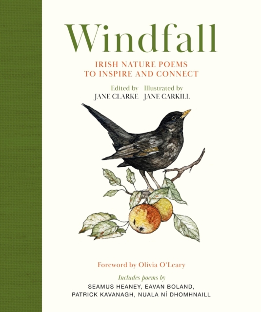 Windfall: Irish Nature Poems to Inspire and Connect - Jane Clarke