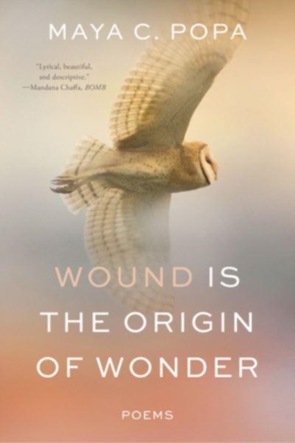 Wound Is the Origin of Wonder: Poems - Maya C. Popa