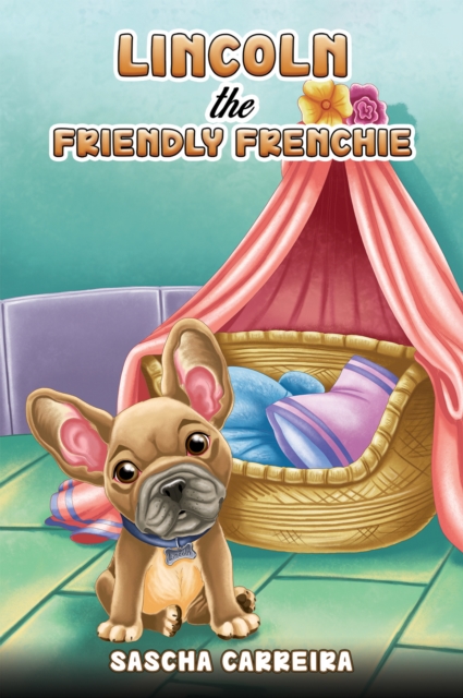 Lincoln the Friendly Frenchie. - Sascha Carreira