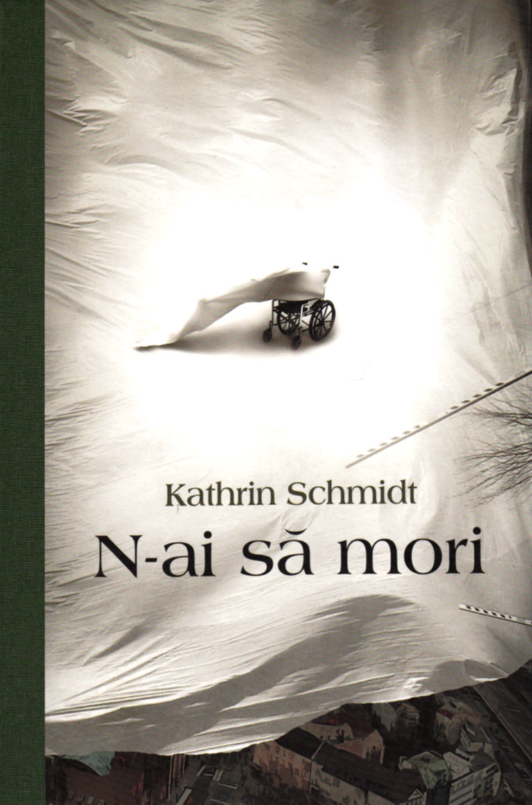 N-ai sa mori - Kathrin Schmidt