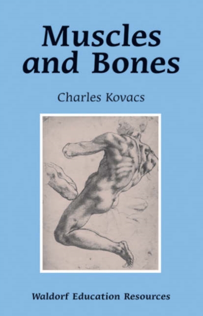 Muscles and Bones: Waldorf Education Resources - Charles Kovacs