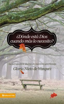 ¿Dónde Está Dios Cuando Más Lo Necesito?: La Perspectiva Divina de Nuestros Problemas = Where Is God When I Need It Most? - Gloria Nieto De Vázquez