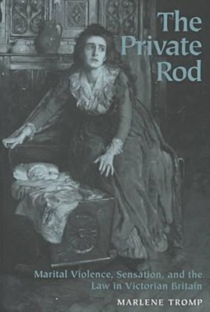 The Private Rod: Marital Violence, Sensation, and the Law in Victorian Britain - Marlene Tromp