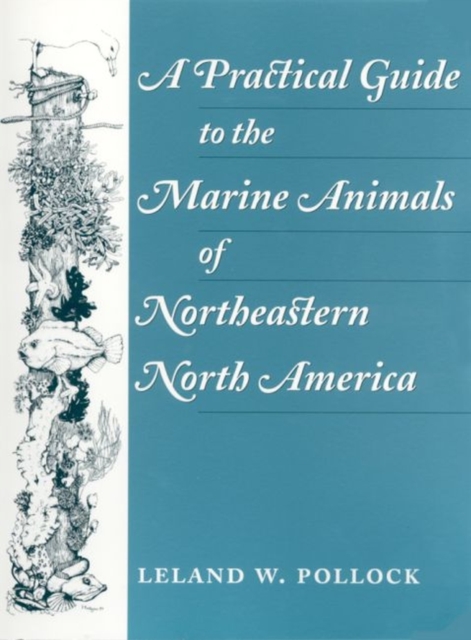 A Practical Guide to the Marine Animals of Northeastern North America - Leland Pollock