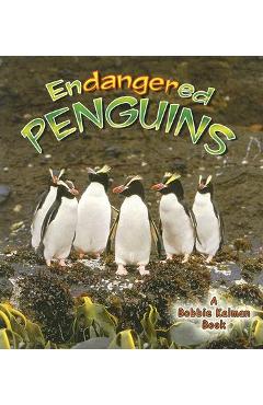 Poza produsului Endangered Penguins - Bobbie Kalman