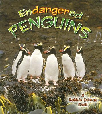 Endangered Penguins - Bobbie Kalman