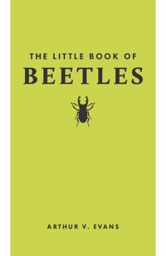 The Little Book of Beetles - Arthur V. Evans