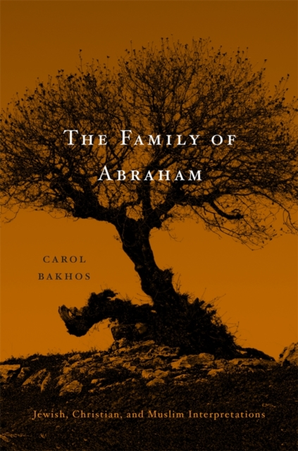 Family of Abraham: Jewish, Christian, and Muslim Interpretations - Carol Bakhos