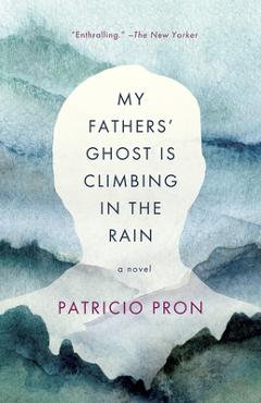 Coperta cărții 'My Fathers' Ghost Is Climbing in the Rain - Patricio Pron'