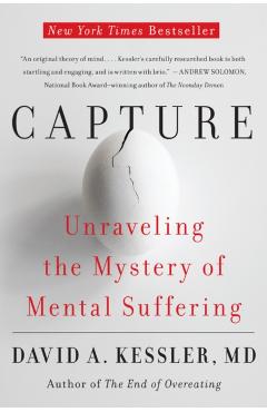 Capture: Unraveling the Mystery of Mental Suffering - David A. Kessler