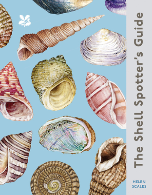 The Shell-Spotter's Guide - Helen Scales