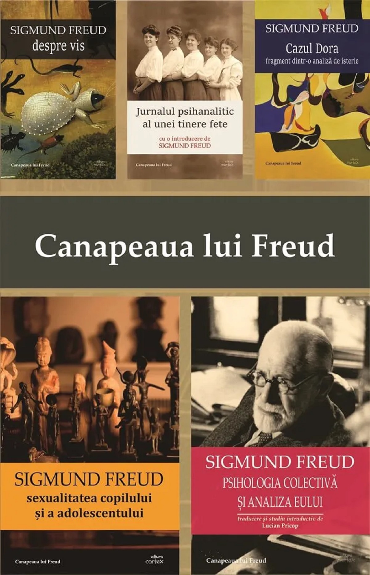Pachet 5 volume: Canapeaua lui Freud