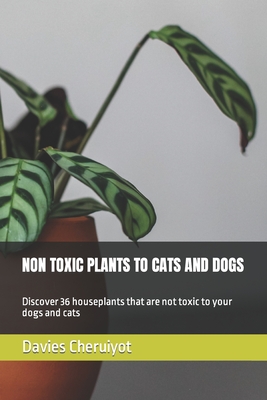 Non Toxic Plants to Cats and Dogs: Discover 36 houseplants that are not toxic to your dogs and cats - Davies Cheruiyot