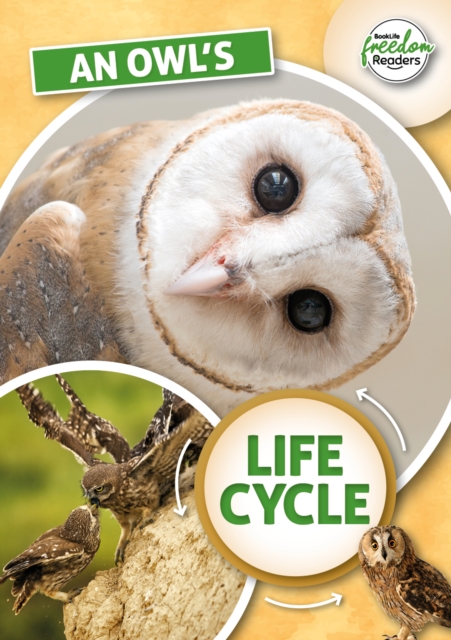 An Owl's Life Cycle - Madeline Tyler