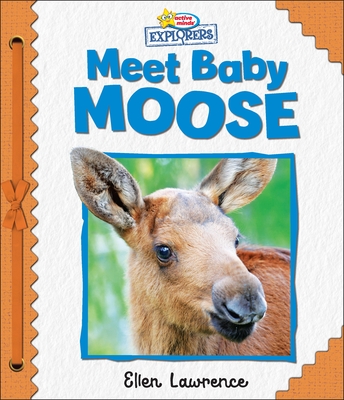 Active Minds Explorers: Meet Baby Moose - Ellen Lawrence