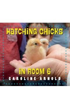 Poza produsului Hatching Chicks in Room 6 - Caroline Arnold