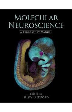 Coperta cărții 'Molecular Neuroscience: A Laboratory Manual - Rusty Lansford'