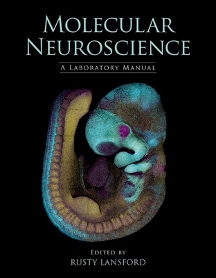Coperta cărții 'Molecular Neuroscience: A Laboratory Manual - Rusty Lansford'