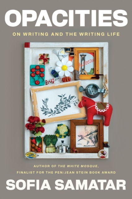 Opacities: On Writing and the Writing Life - Sofia Samatar