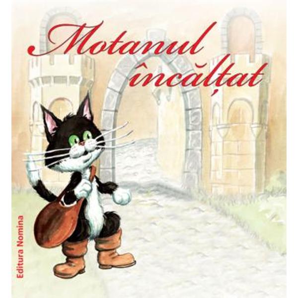 Pachet Gradinita Litere - Povestea literelor + Povestea numerelor + Dictionar roman englez german+Motanul incaltat