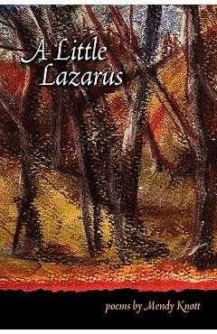 Coperta cărții 'A Little Lazarus - Mendy Knott'