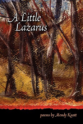 Coperta cărții 'A Little Lazarus - Mendy Knott'