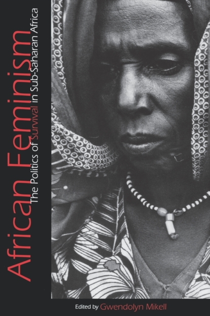 African Feminism: The Politics of Survival in Sub-Saharan Africa - Gwendolyn Mikell