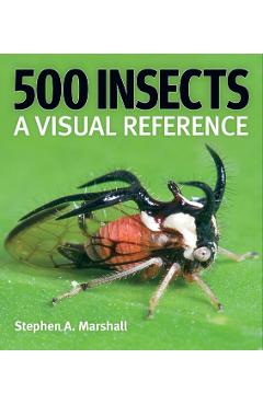 500 Insects: A Visual Reference - Stephen A. Marshall