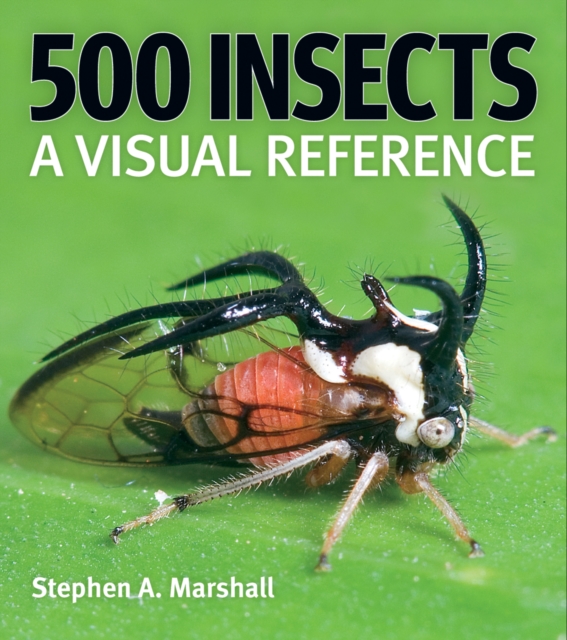 500 Insects: A Visual Reference - Stephen A. Marshall