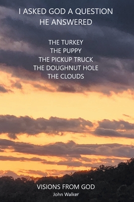 I Asked God a Question He Answered: Visions from God - John Walker