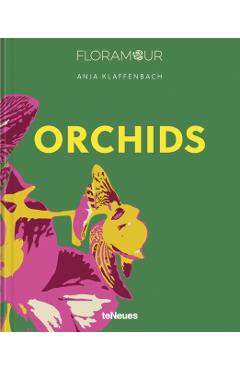 Orchids - Anja Klaffenbach