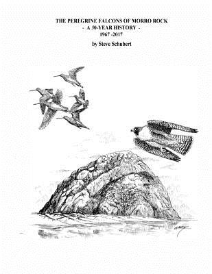 Coperta cărții 'The Peregrine Falcons of Morro Rock - A 50-Year History: 1967 - 2017 - Steve C. Schubert'