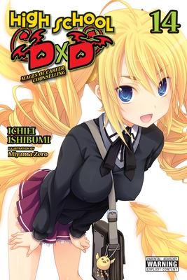 High School DXD, Vol. 14 (Light Novel) - Ichiei Ishibumi