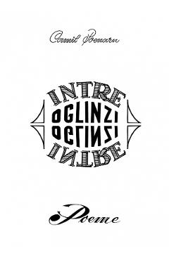 Poza produsului Intre oglinzi - Camil Poenaru