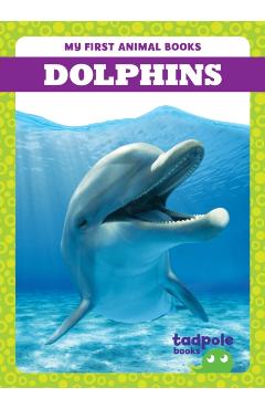 Poza produsului Dolphins - Natalie Deniston