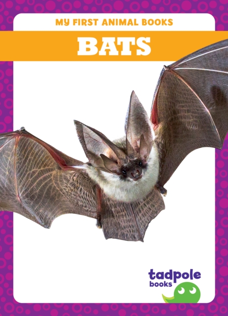Bats - Natalie Deniston