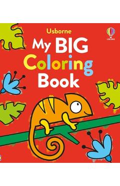Coperta cărții 'My Big Coloring Book - Kate Nolan'