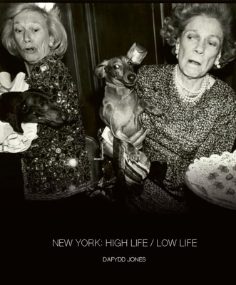 New York: High Life / Low Life - Dafydd Jones