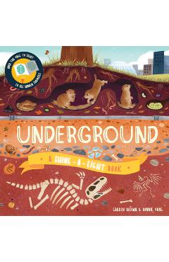 Coperta cărții 'Underground - Carron Brown'