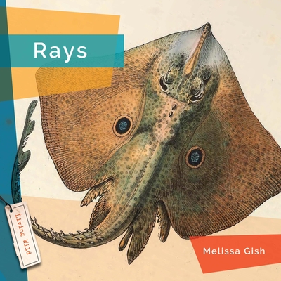 Coperta cărții 'Rays - Melissa Gish'