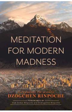 Meditation for Modern Madness - Dzogchen Rinpoche