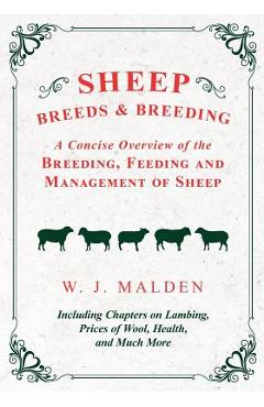 Coperta cărții 'Sheep Breeds and Breeding - A Concise Overview of the Breeding, Feeding and Management of Sheep, Including Chapters on'