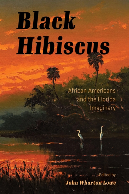 Black Hibiscus: African Americans and the Florida Imaginary - John Wharton Lowe