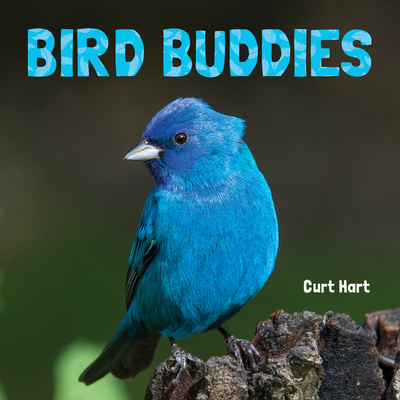 Bird Buddies - Curt Hart