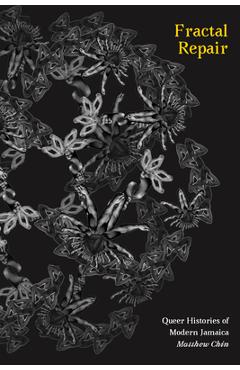 Poza produsului Fractal Repair: Queer Histories of Modern Jamaica - Matthew Chin