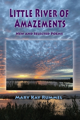 Coperta cărții 'Little River of Amazements - Mary Kay Rummel'