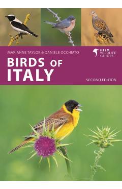 Birds of Italy: Second Edition - Daniele Occhiato